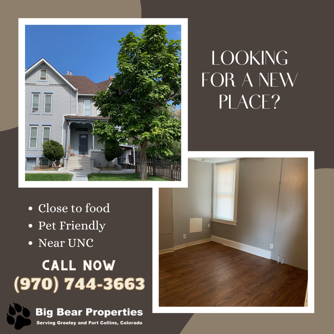 Greeley Apartment: 1421 8th Street