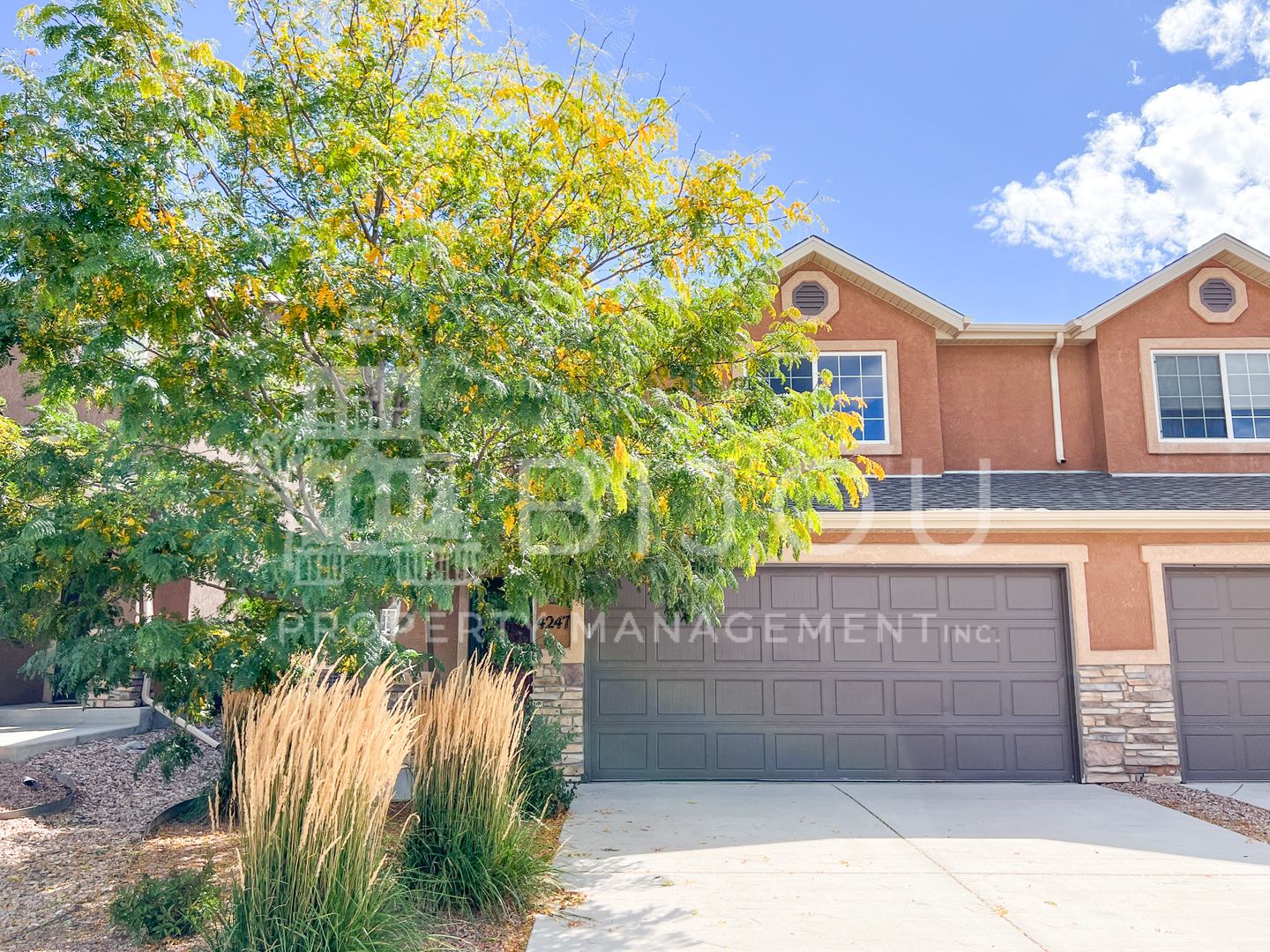 Colorado Springs Townhome: 4247 Rosalie St