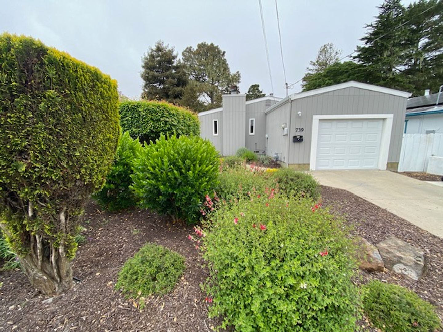 Monterey House: 739 Taylor St