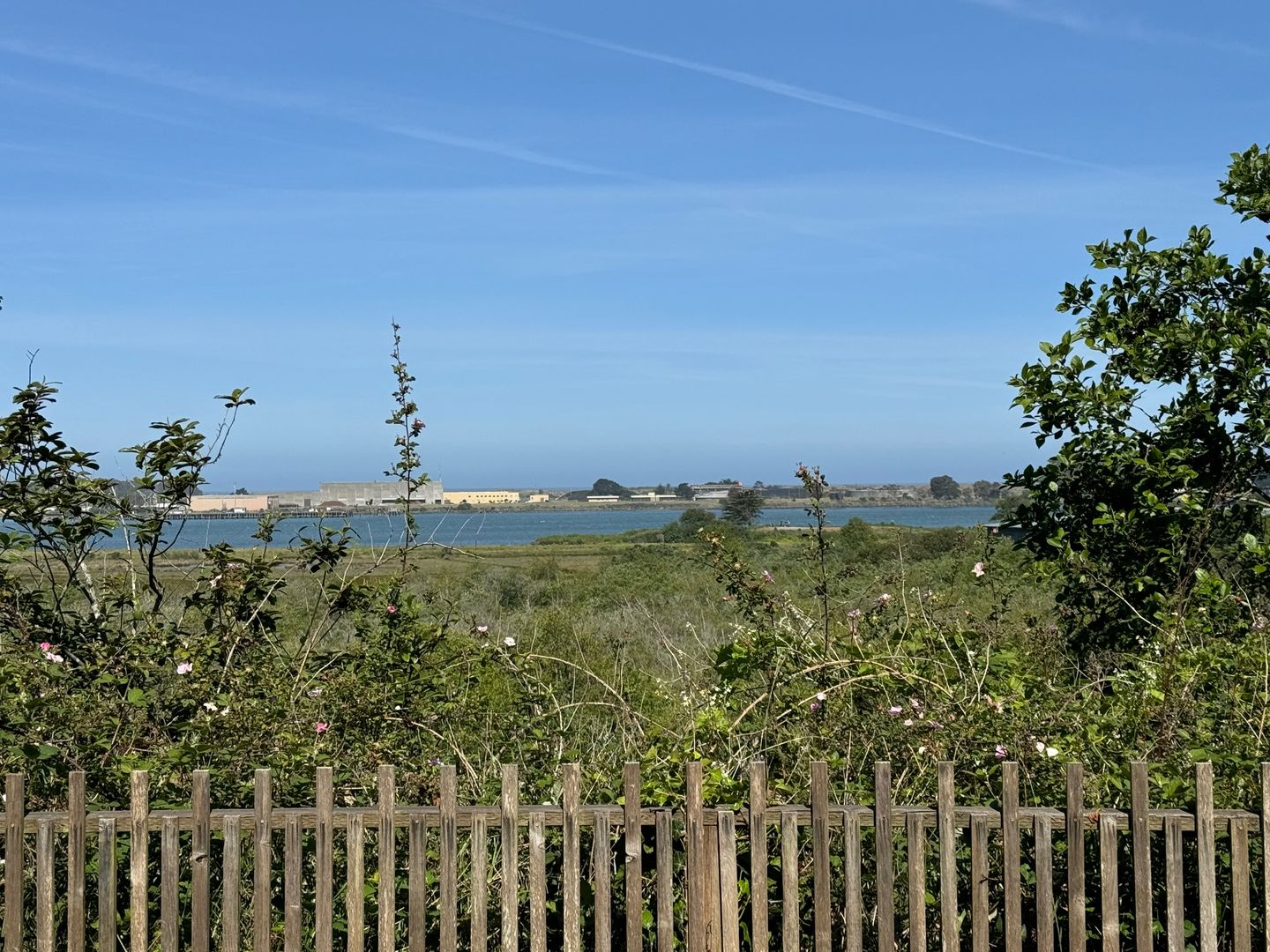 Eureka Apartment: 2344 Progress ST