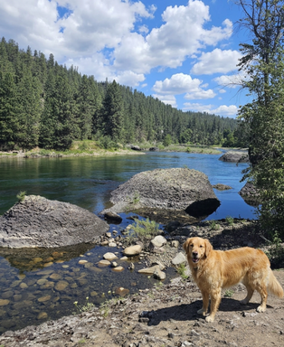 Summer River Living | No Rent Until October – photo 1