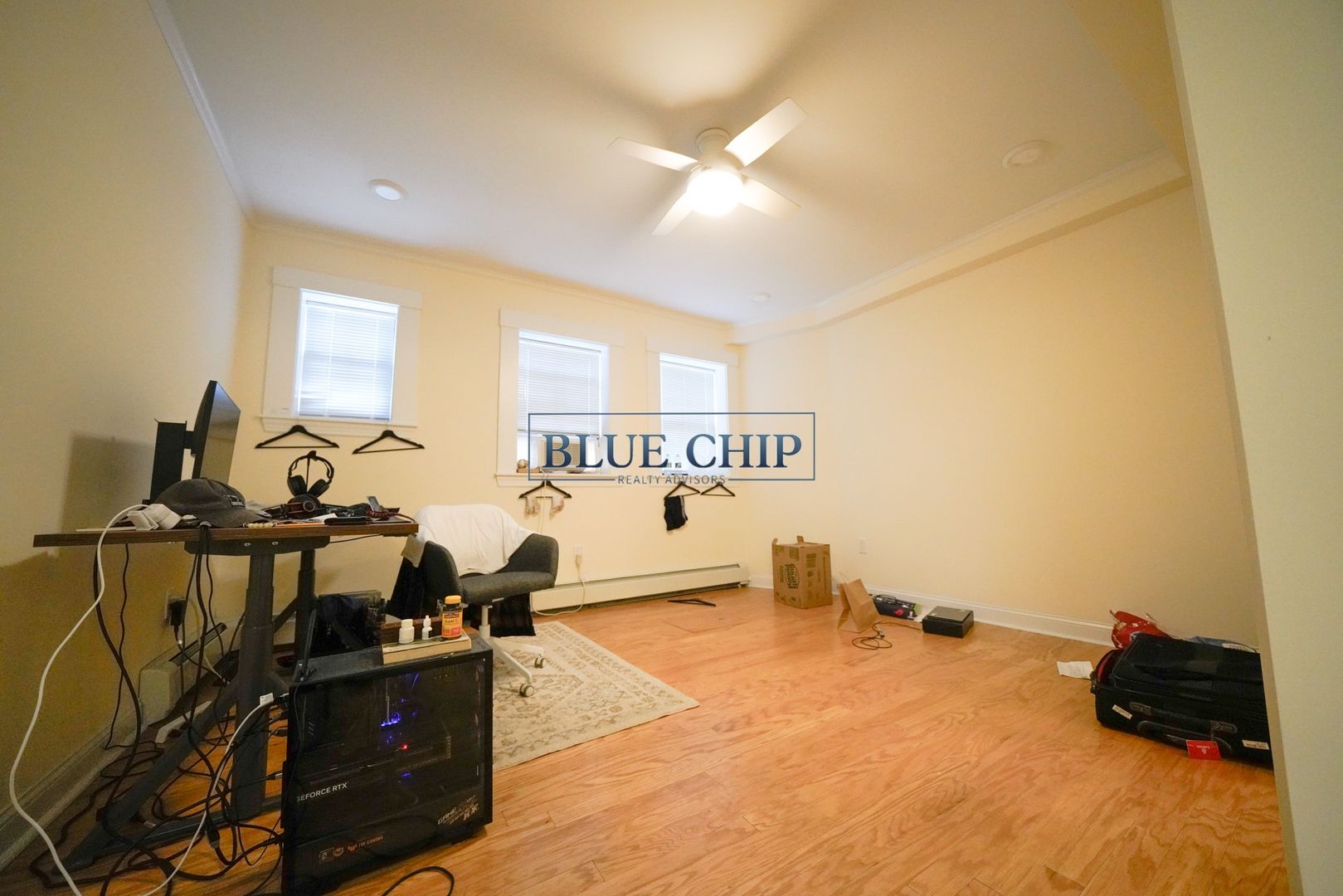 Chestnut Hill Apartment: 219 Commonwealth Ave