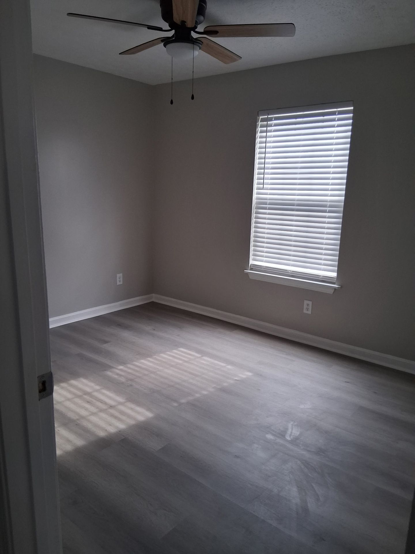 Newly Renovated 3 of 12