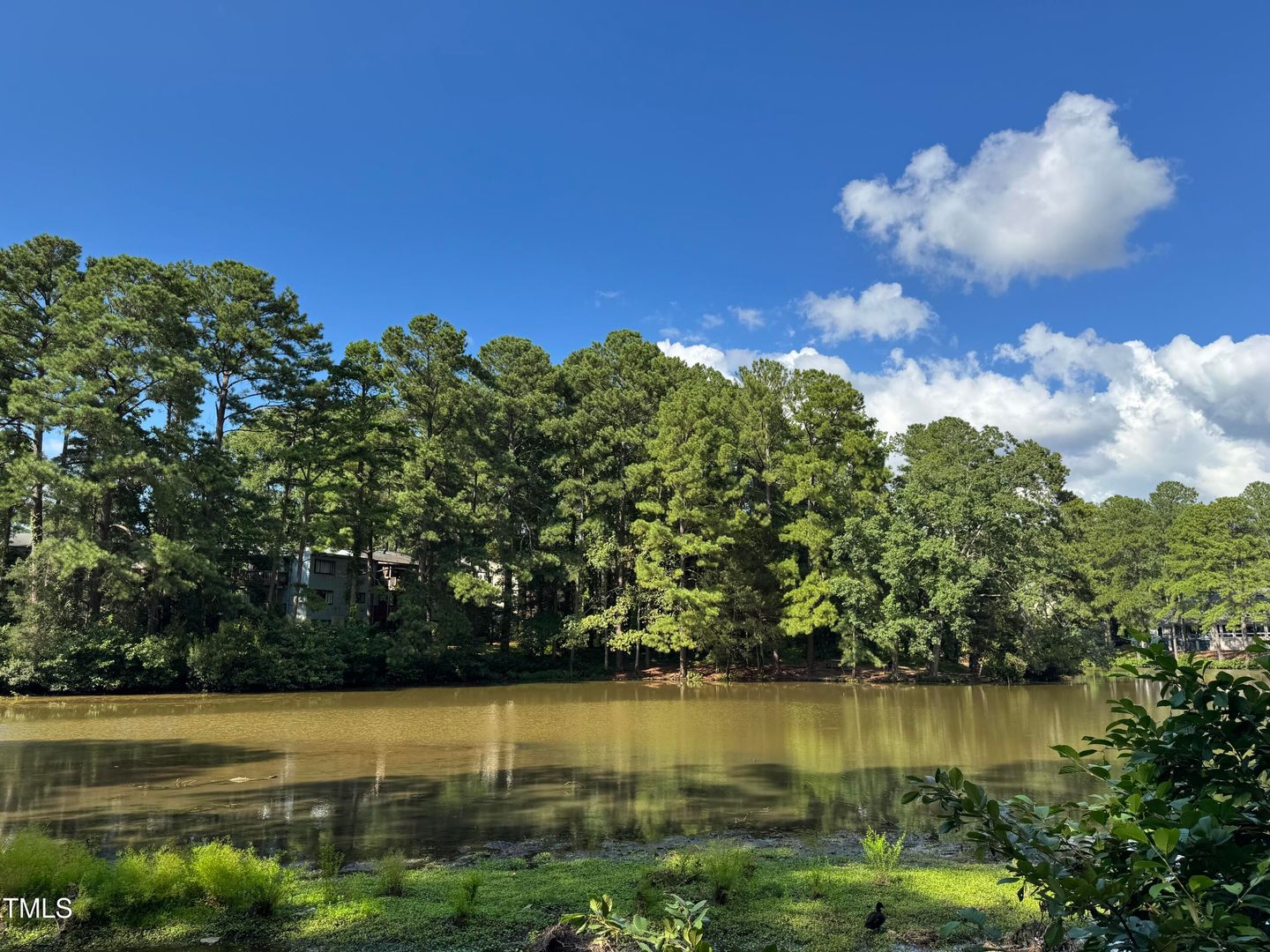 Raleigh Condo: 5112 Flint Ridge Place