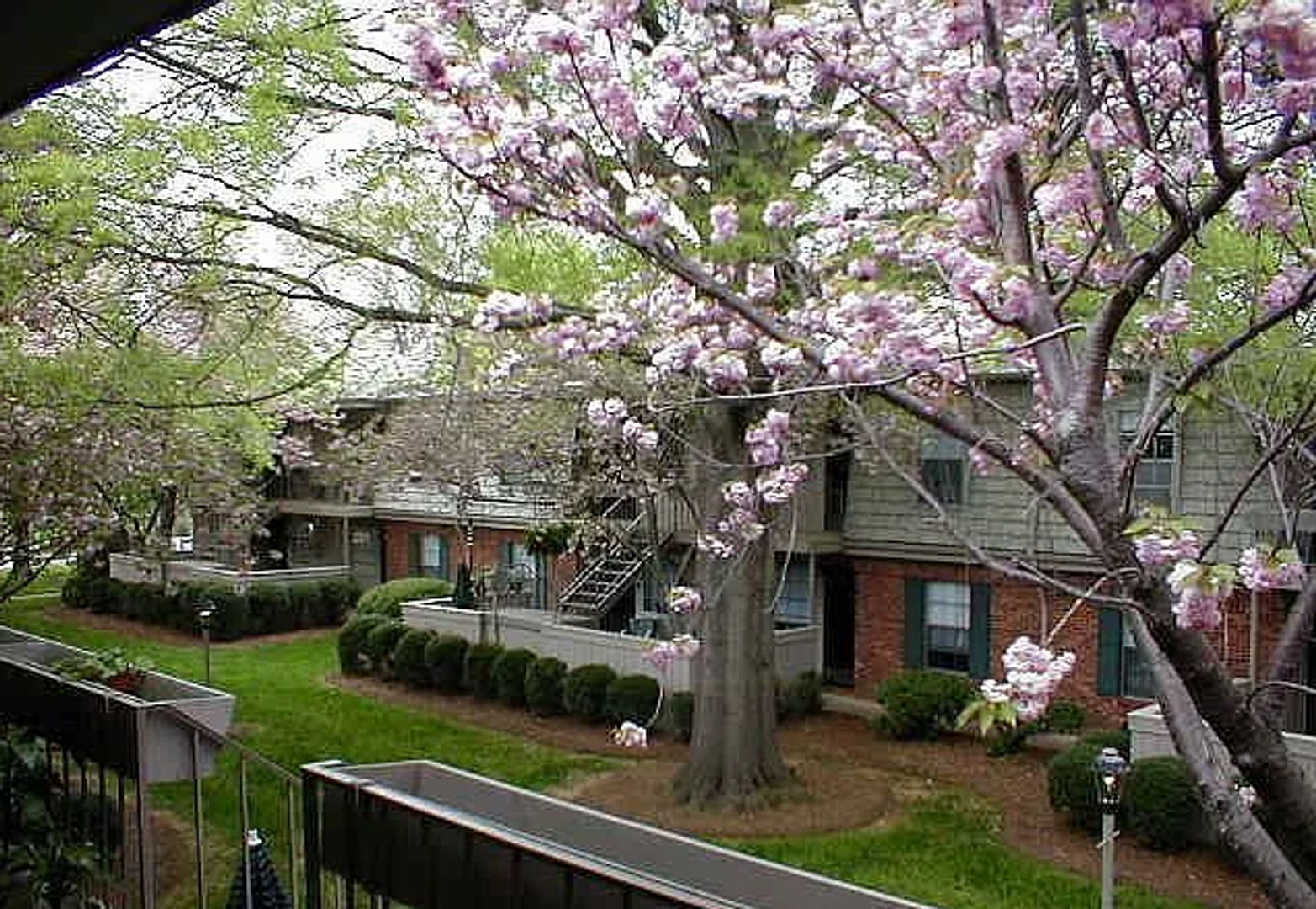 Winston-Salem House: 3824-L Country Club Road