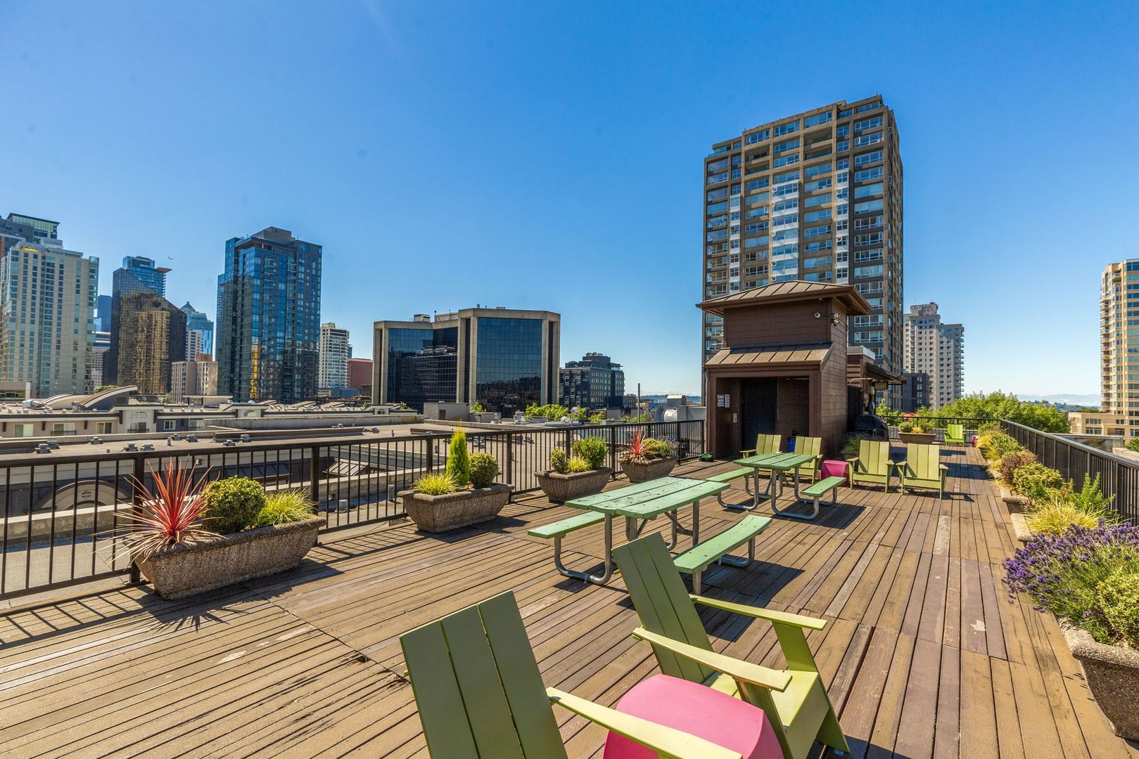 Roof deck at 425 Vine St #706 (3 of 3)