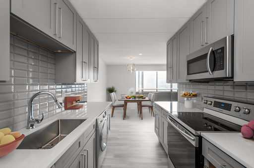 Unimaginable 3 bed/2 ½ Bath Lux, South Loop/Bronzeville – photo 1