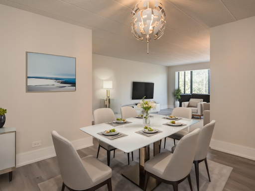 HUGE 2 bed/2bath, Spectacular Unit. South Loop/Bronzeville – "The Harbor" – photo 1