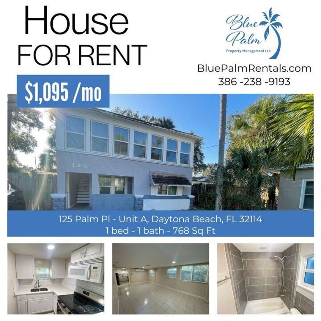Daytona Beach Apartment: 125 Palm Pl