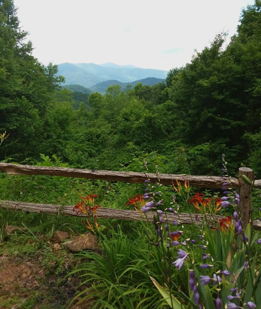 Sylva House: 1299 Too Sweet Road