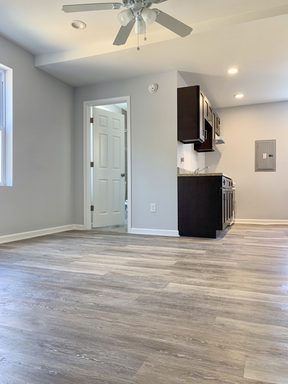 Newly Renovated Studio Apartment in Olney! Available mid-August! – photo 1