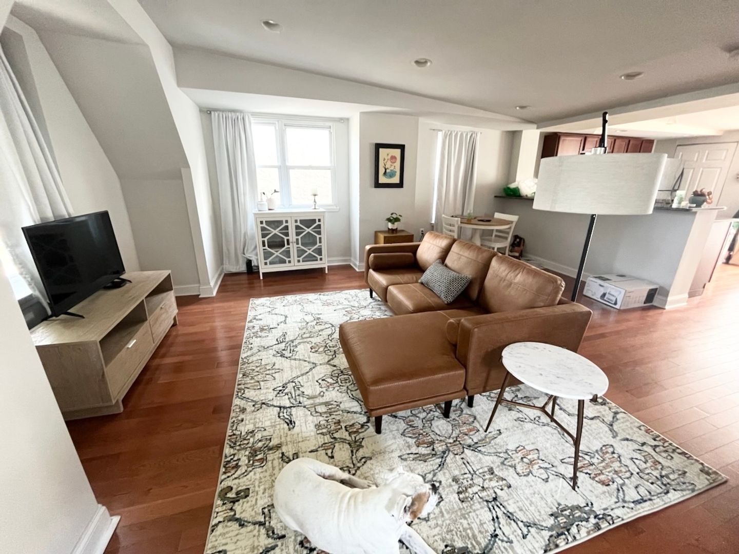 Philadelphia Apartment: 204 Sumac St
