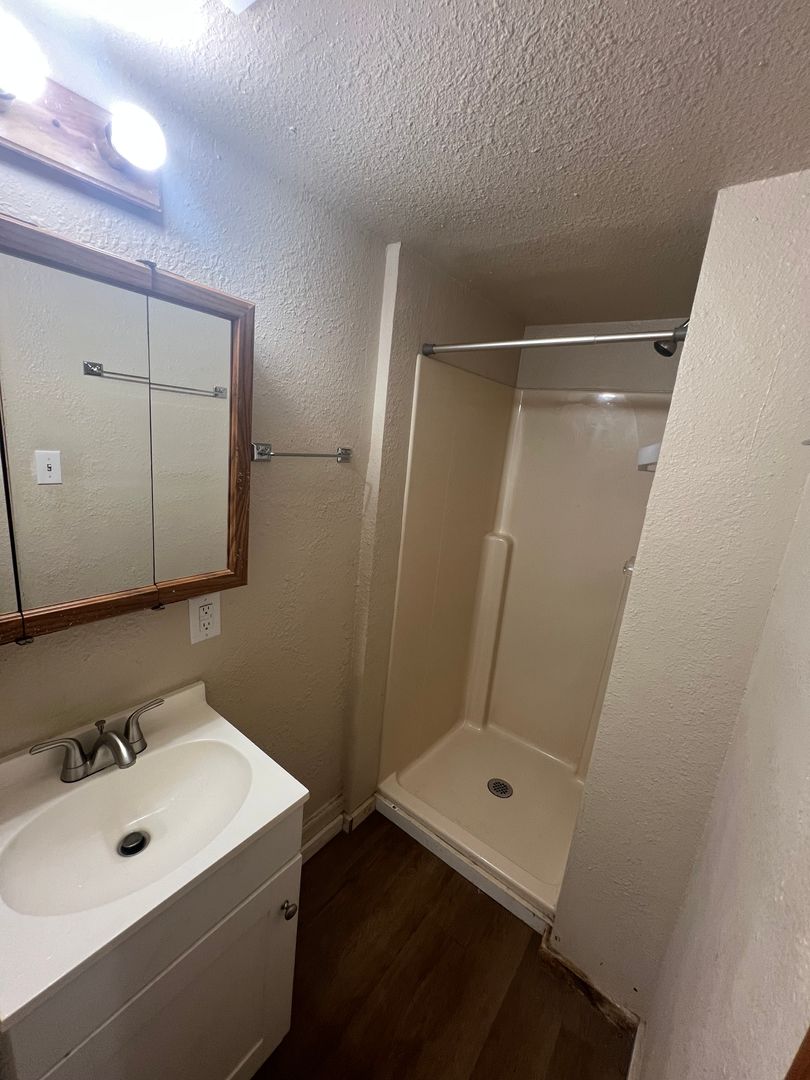 Monroe Apartment: 217 Smith St