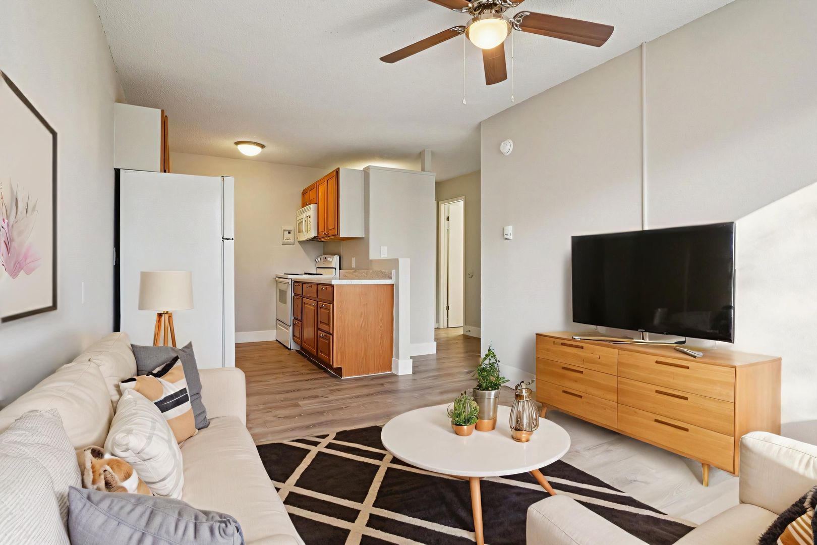 Colorado Springs Apartment: 215 & 233 E Arvada St.