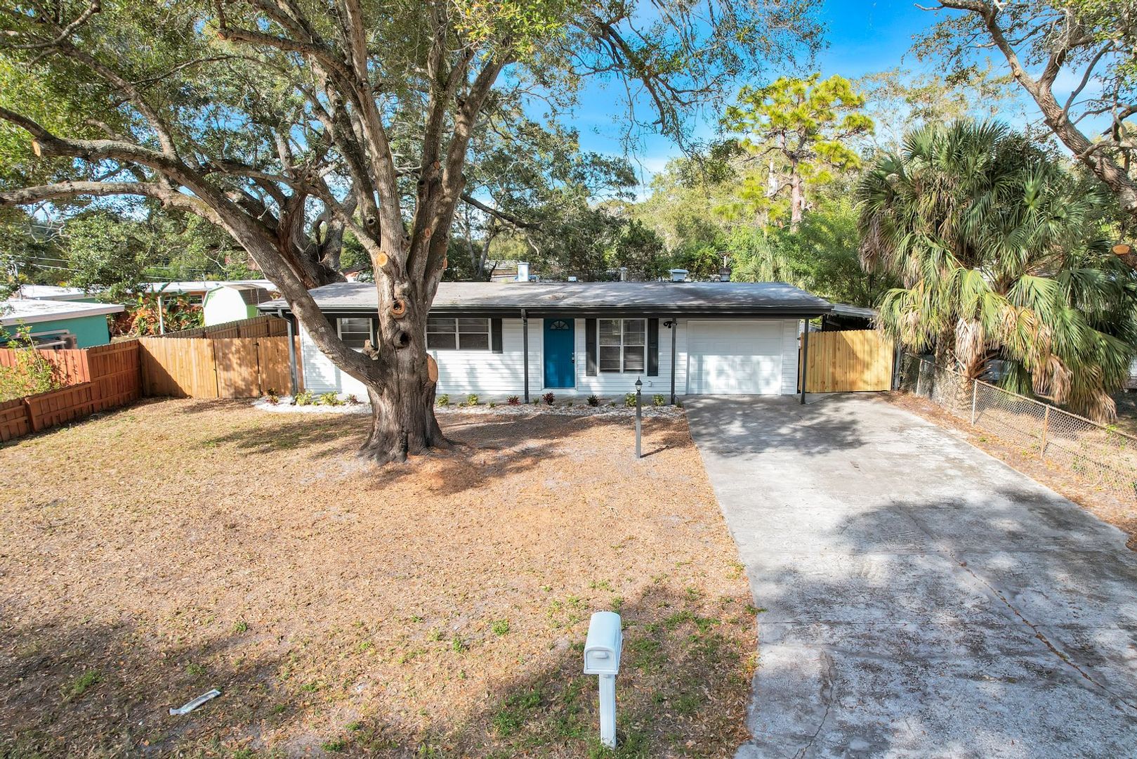 Clearwater House: 1564 Scott St