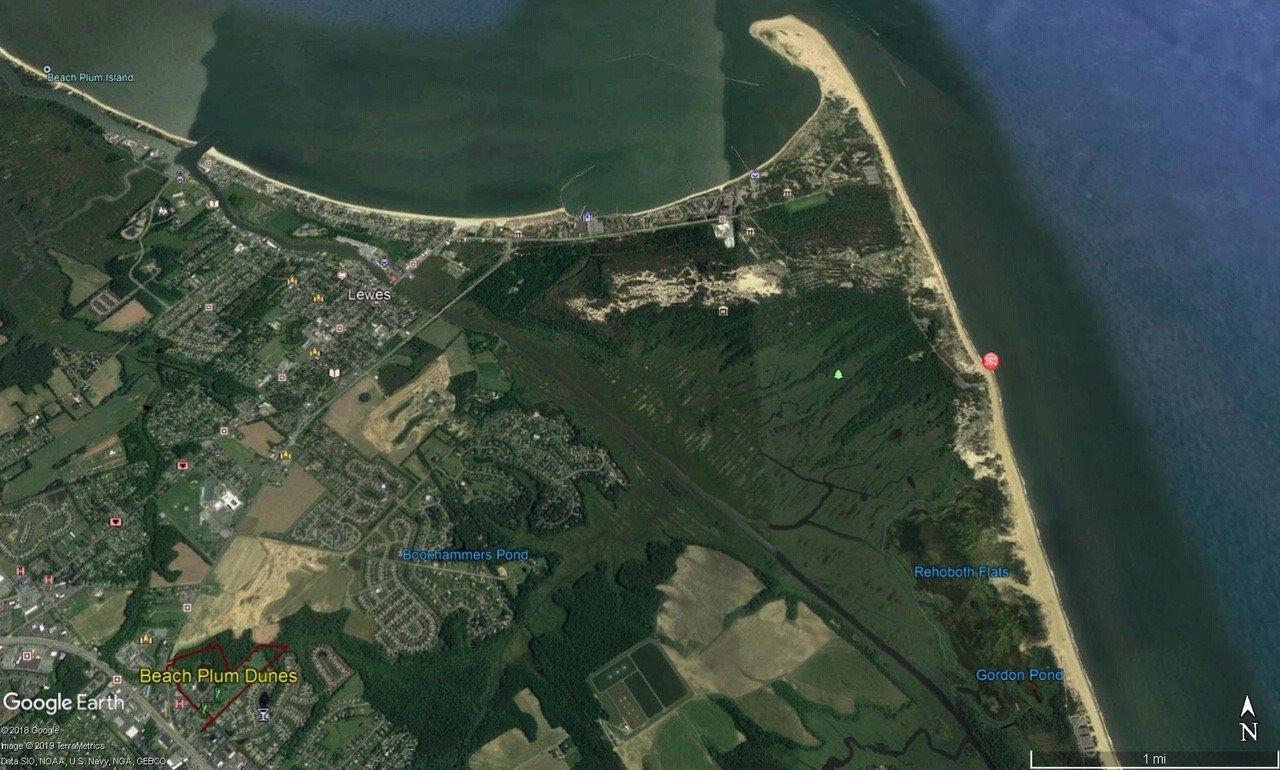 36916 Crooked Hammock Way, Lewes, DE 19958