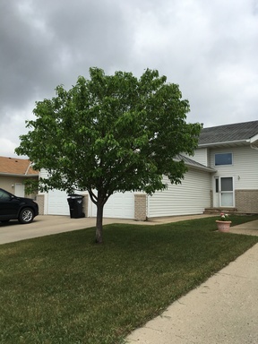 3 bedroom 2 bathroom Twinhome for rent! – photo 1