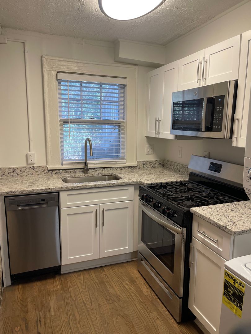 Decatur Apartment: 205 Ponce de Leon Court