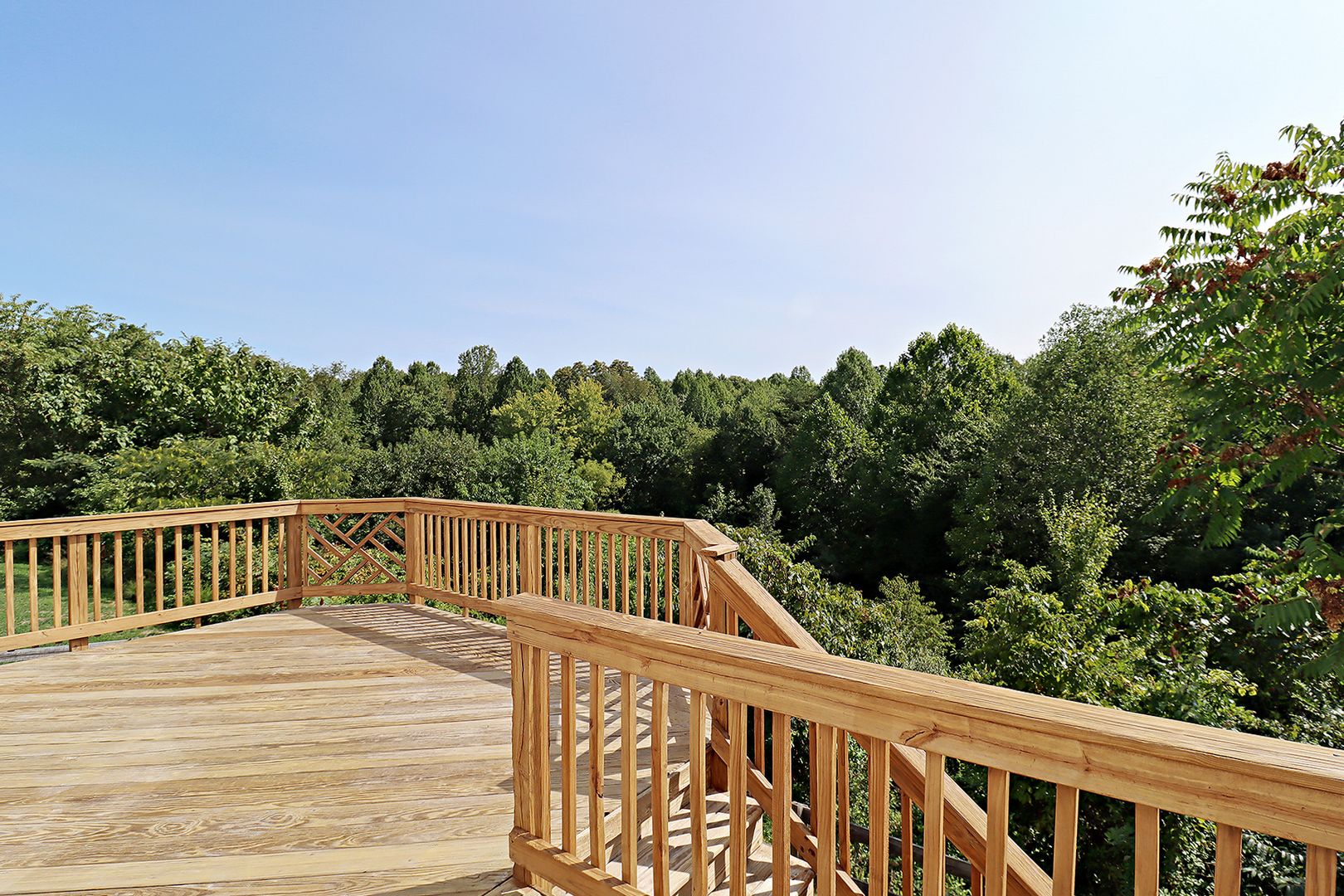 Barboursville House: 96 Holly Hill Dr