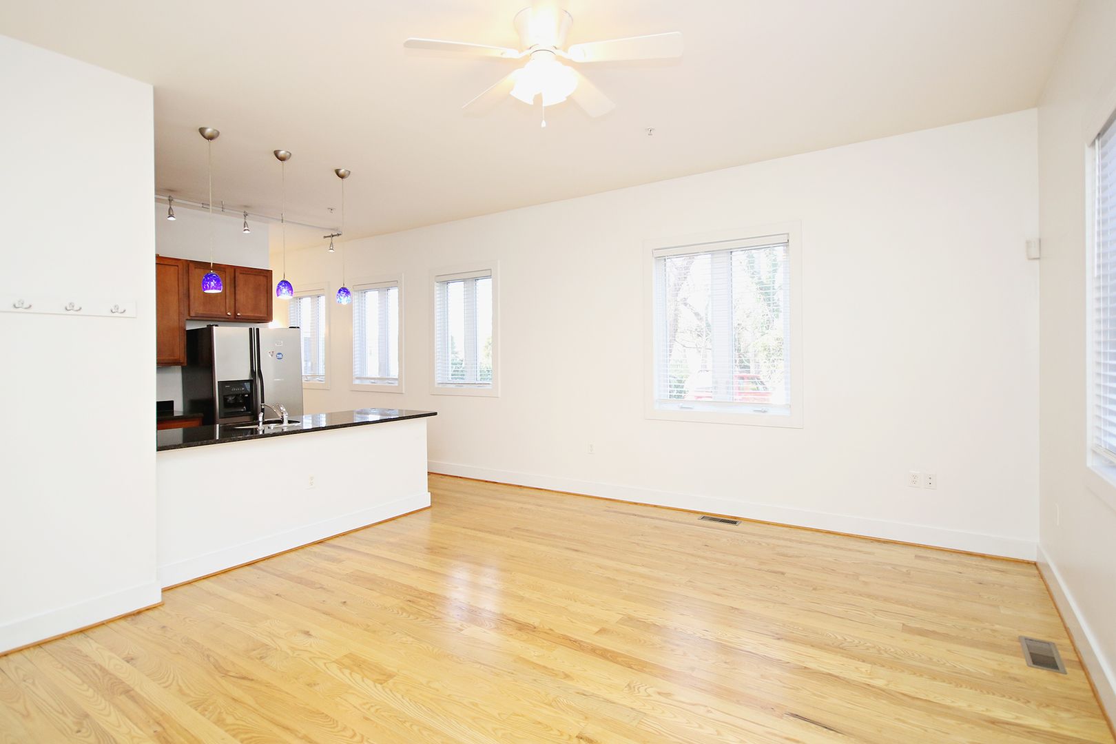 Charlottesville Condo: 215 5th St SW #1D