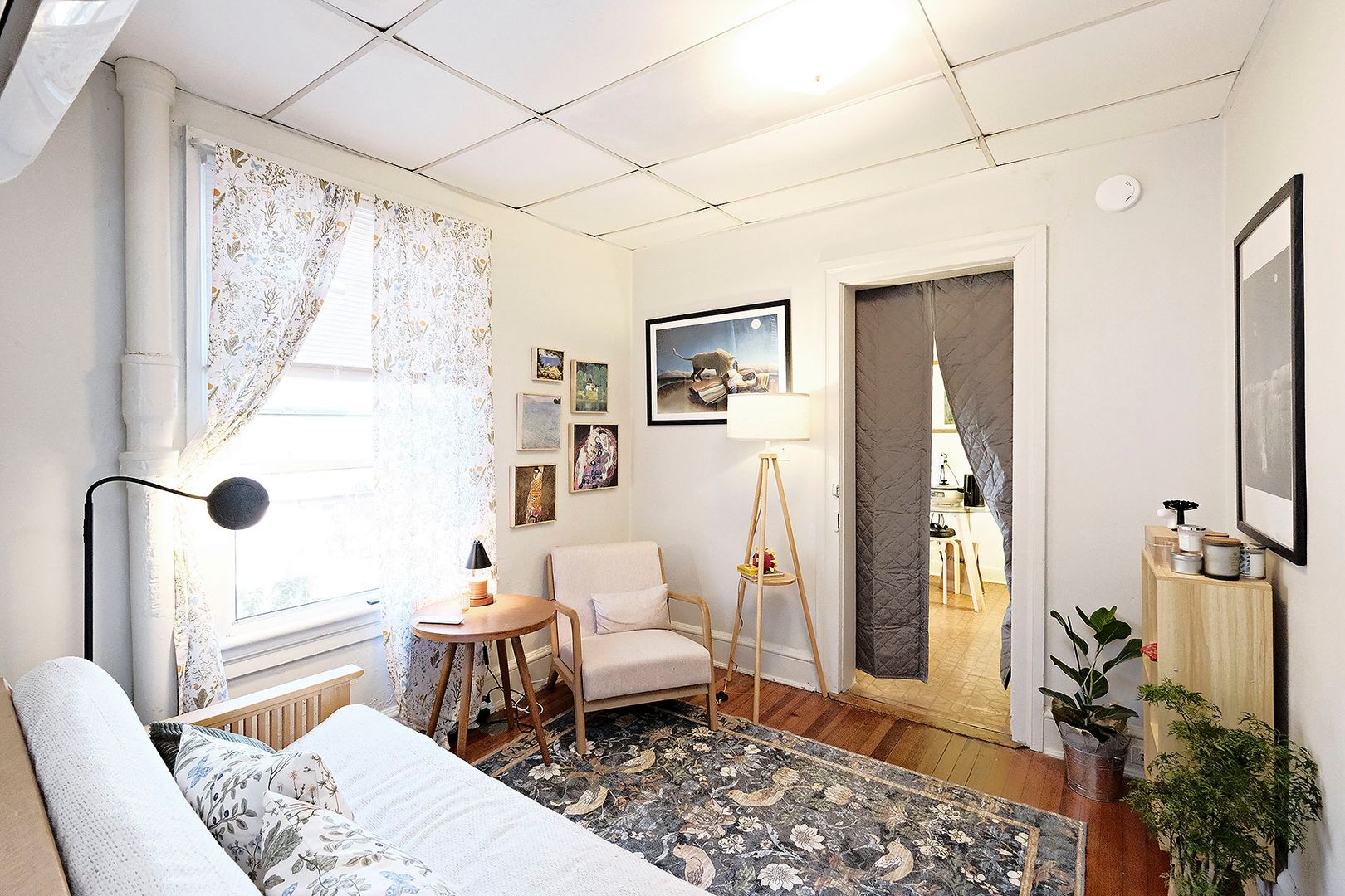 Charlottesville Apartment: Washington Ave 117