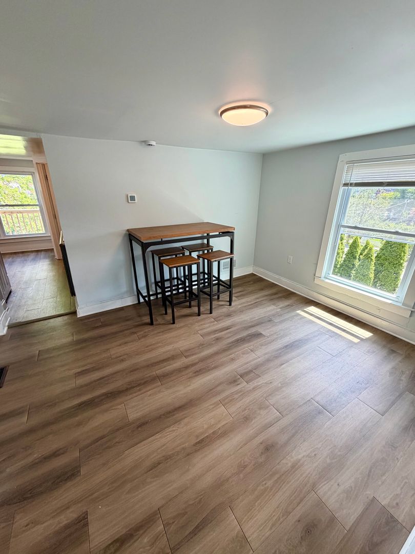 Johnson City Apartment: 79 St Charles St
