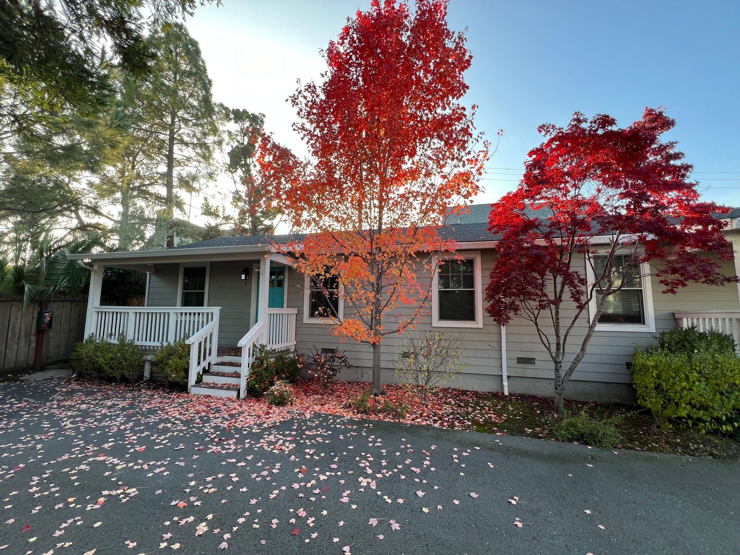 Walnut Creek Apartment: 1963 Trinity Ave