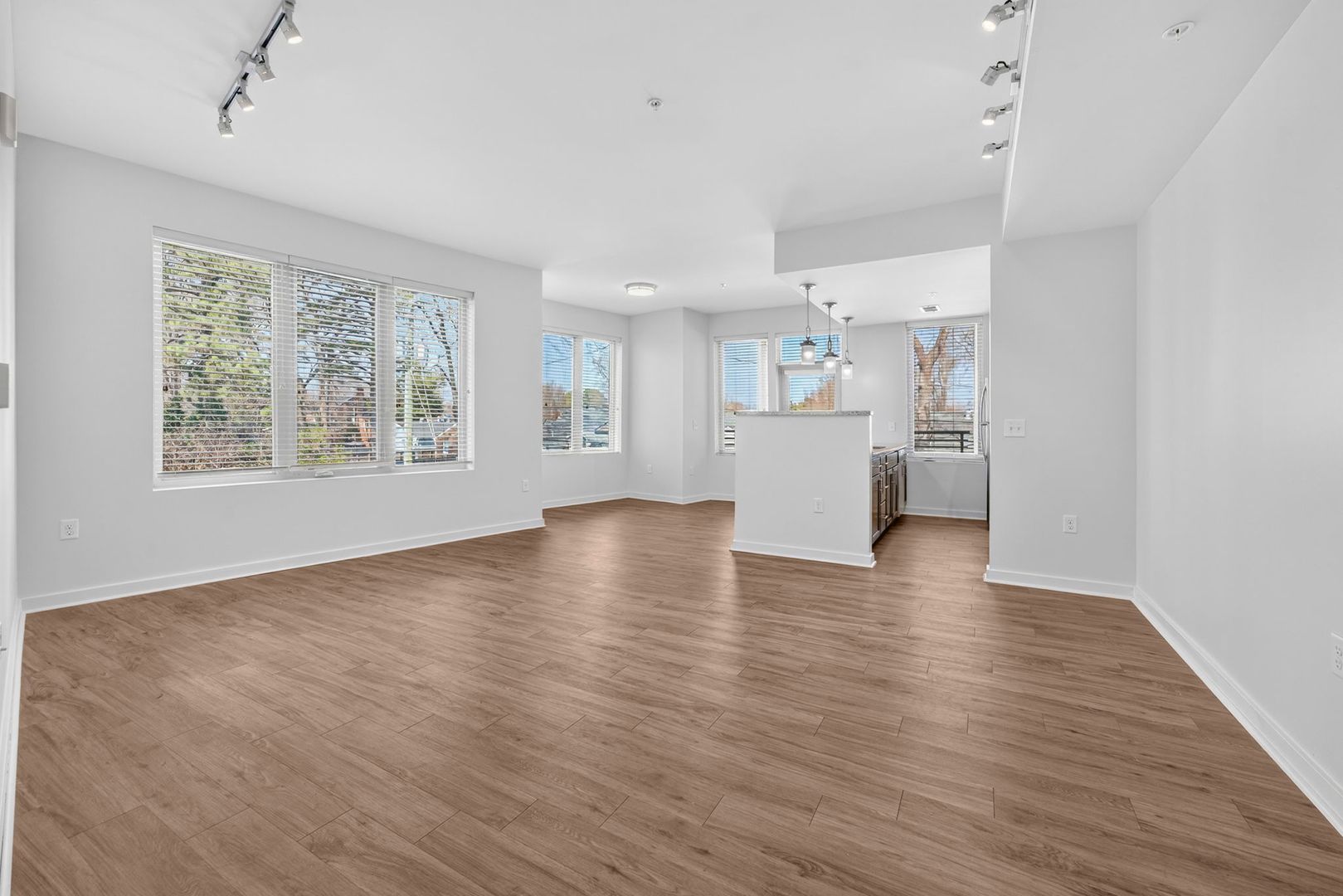 Richmond Apartment: 3900 Monument Avenue