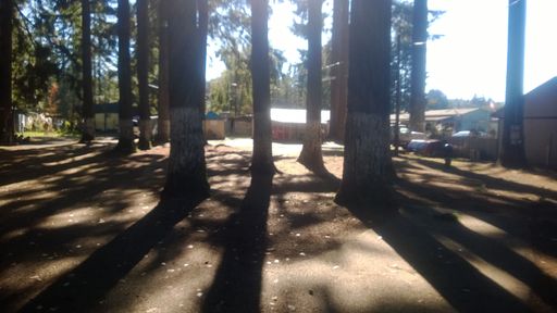 Escape to the Mountains – Full Hookup RV Spaces Available in Welches, OR!