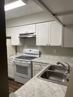 Completely remodeled 2 bedroom 2 bathroom at Oasis at Pearl Lake! – photo 1