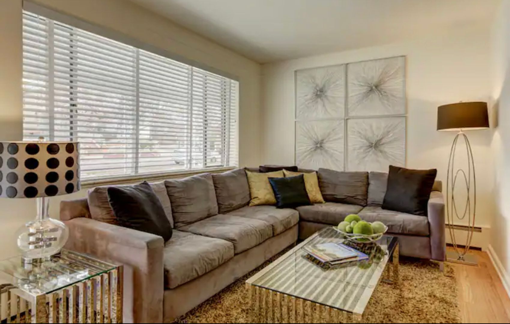 Denver Apartment: 805 S Ogden St