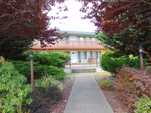 Charming Auburn One Bedroom Apartment with Vaulted Ceilings!
