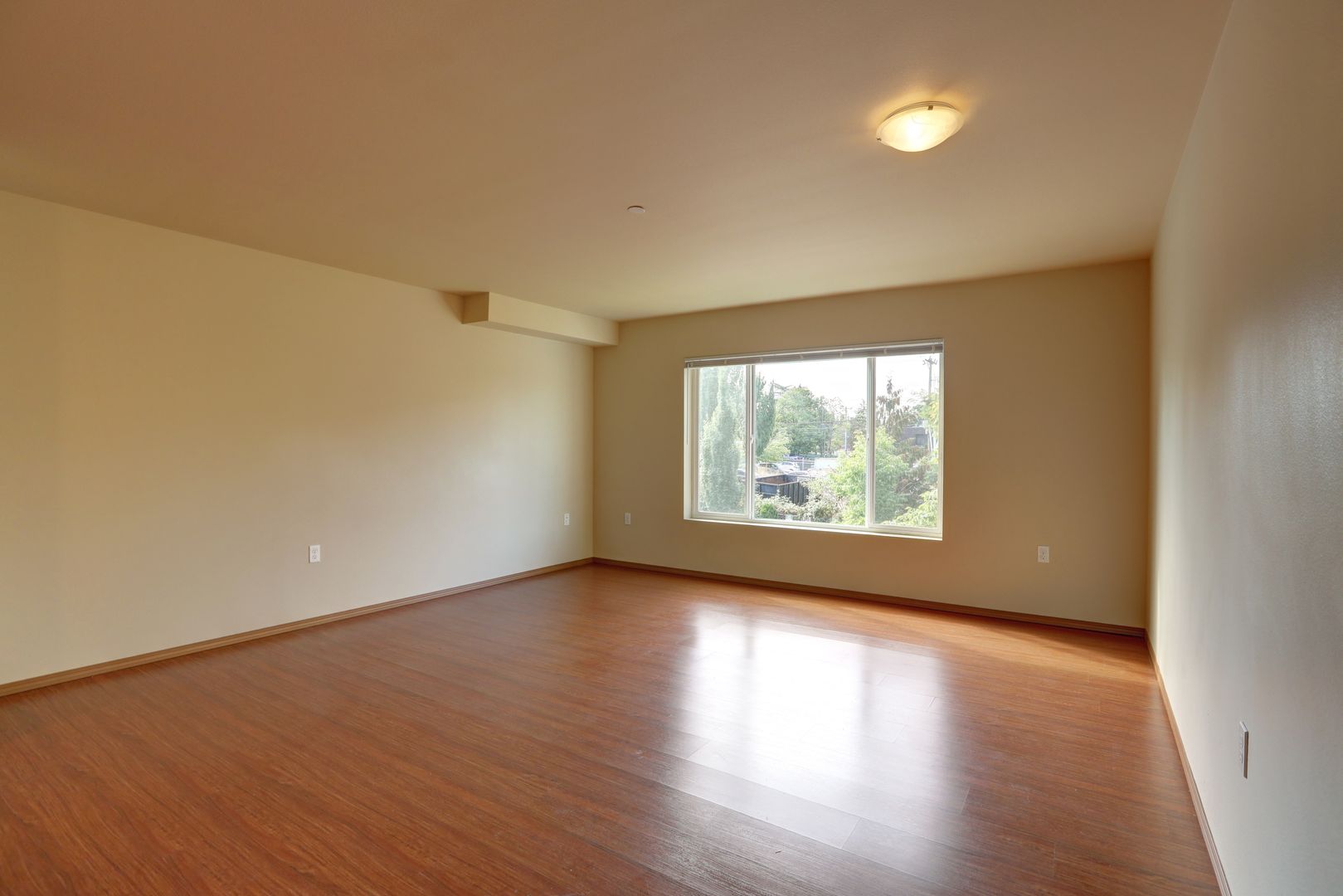 Seattle Apartment: 11060 16th Ave SW