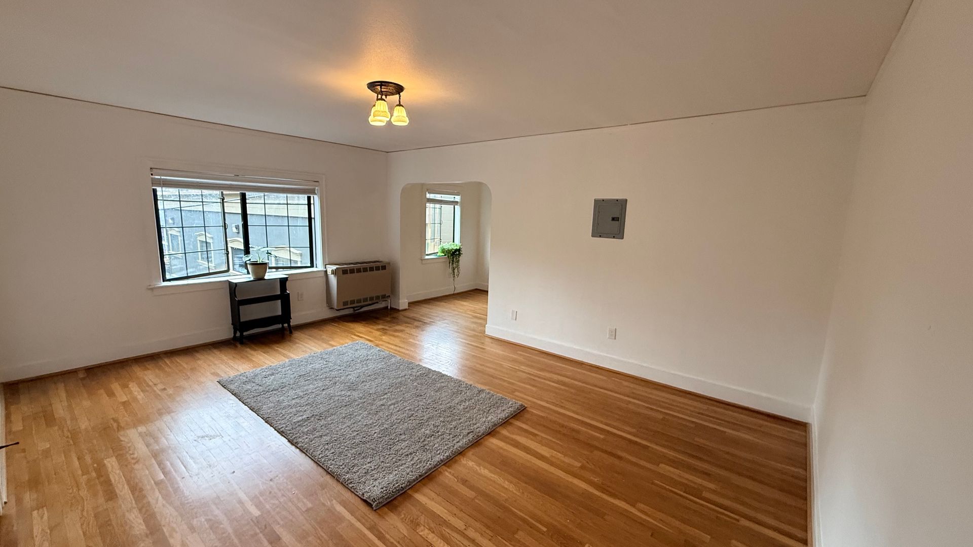 Vancouver Apartment: 215 E 12th