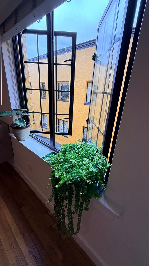 Vancouver Apartment: 215 E 12th