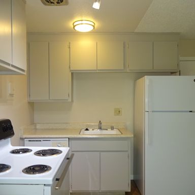 Cozy Downstairs Studio Apartment, Patio, Dishwasher! – photo 1