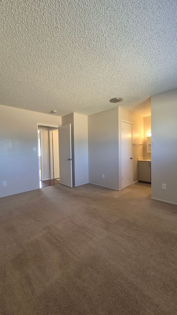 Hayward Drive (7338) 9 of 12