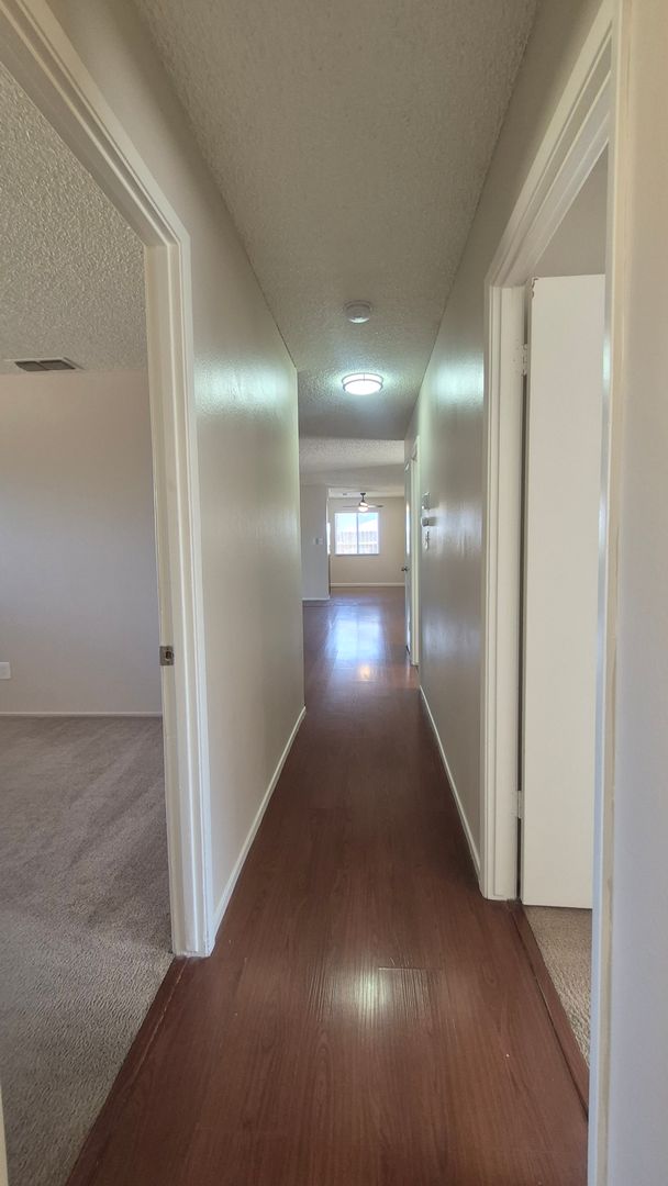 Hayward Drive (7338) 8 of 12