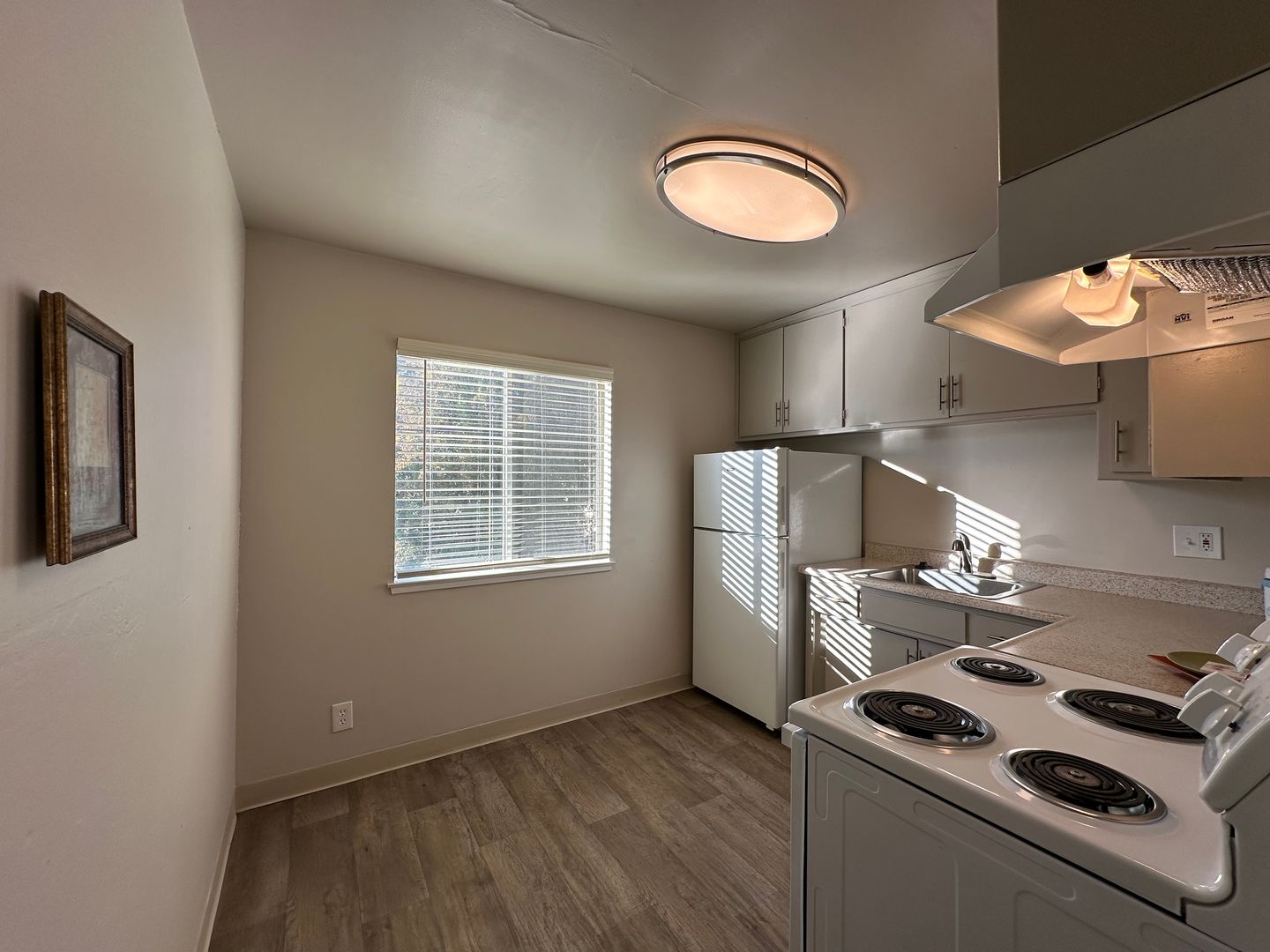 Camellia Manor Apartments 