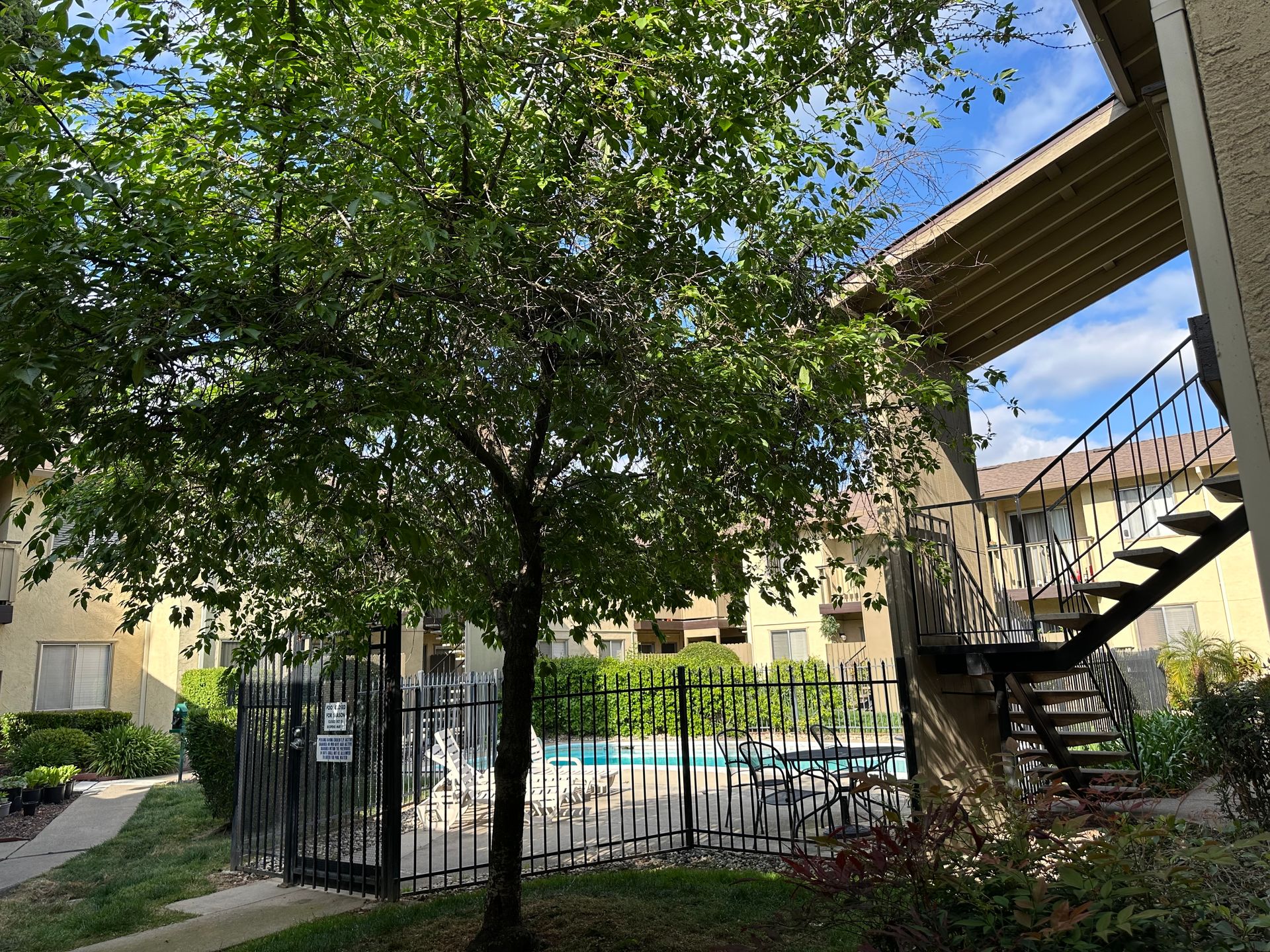 Walnut Avenue (2548) 8 of 12