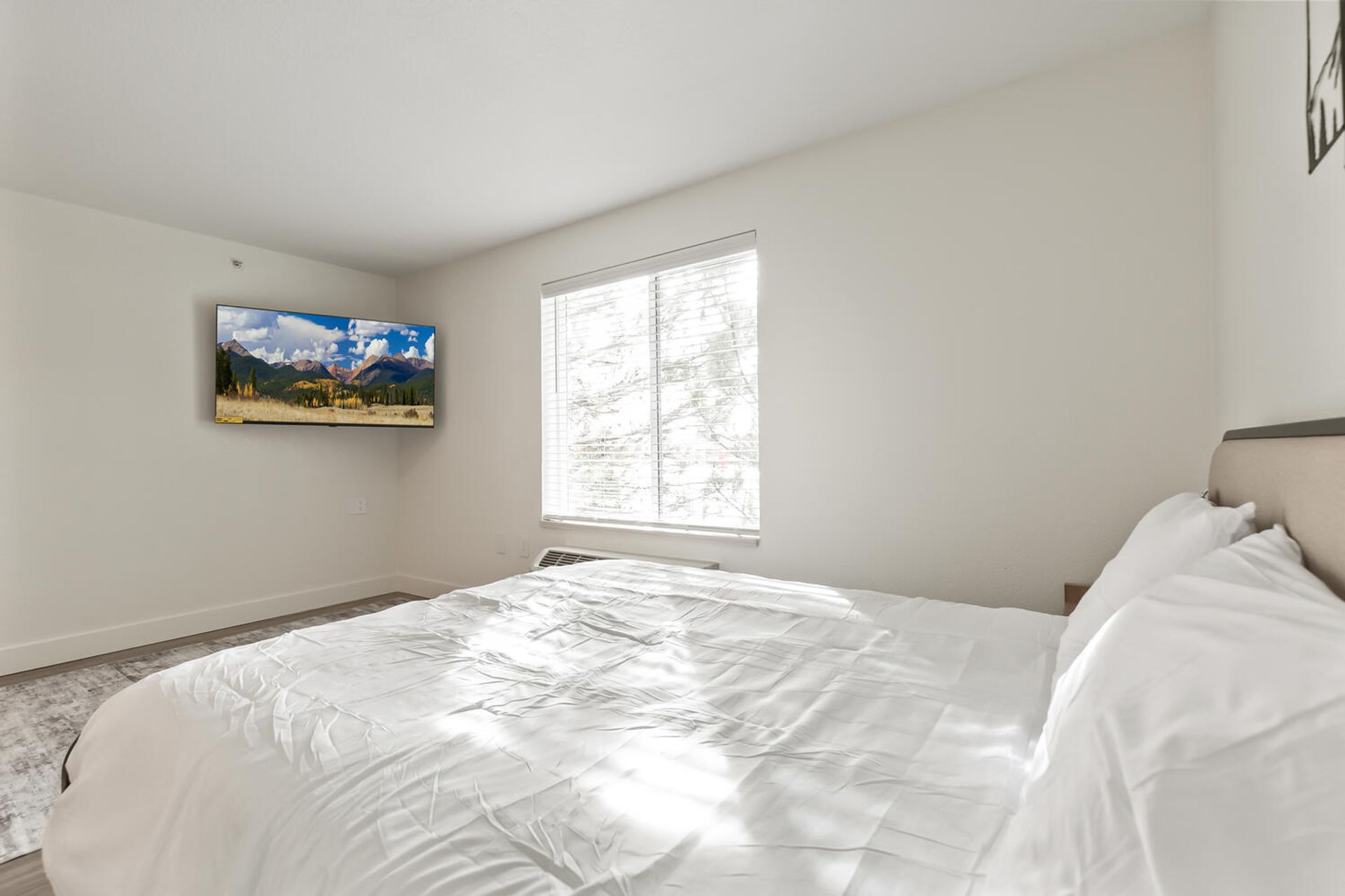 Denver Apartment: 3699 S Monaco St Pkwy