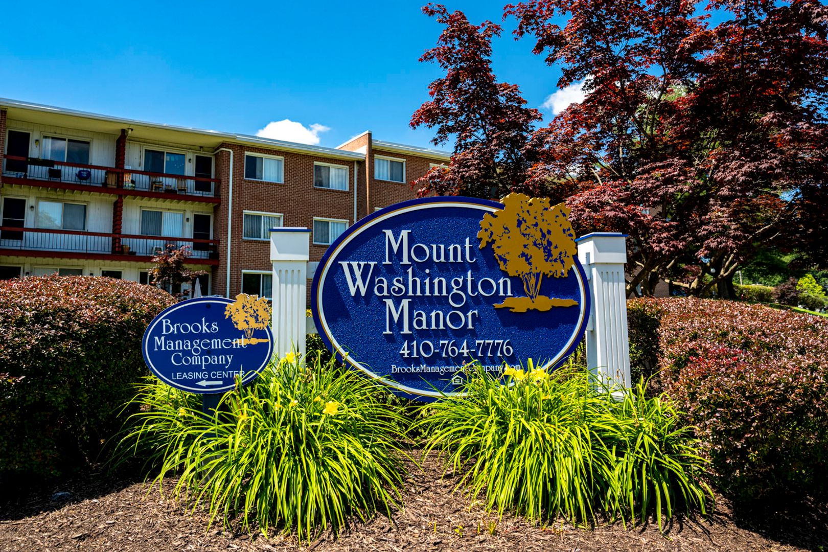 Baltimore Apartment: 2709-2715 Hanson Ave