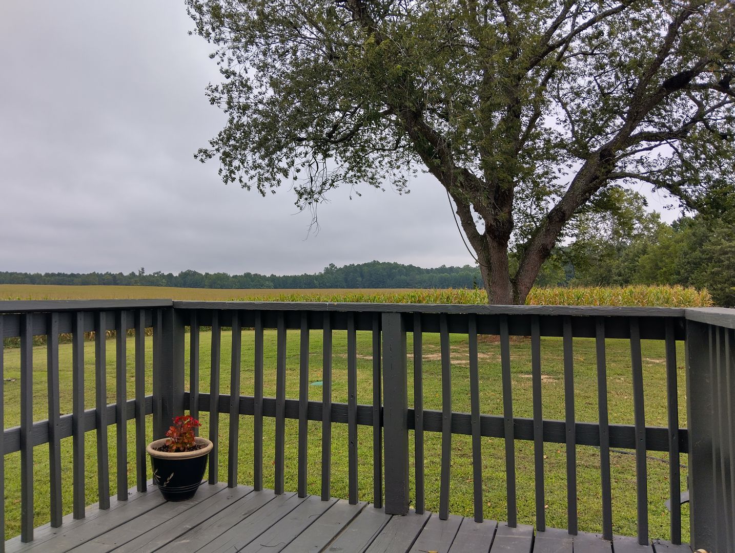 Williamsburg House: 4464 Ware Creek Road