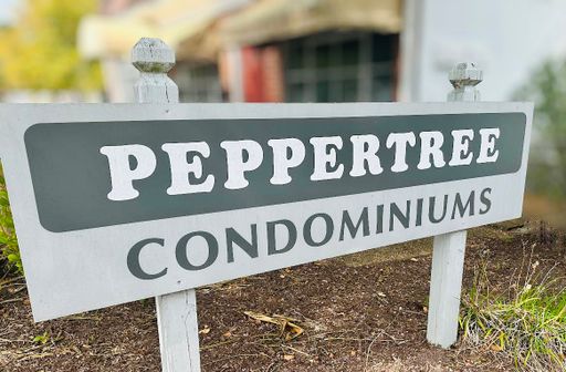2 bedroom condo in Williamsburg!
