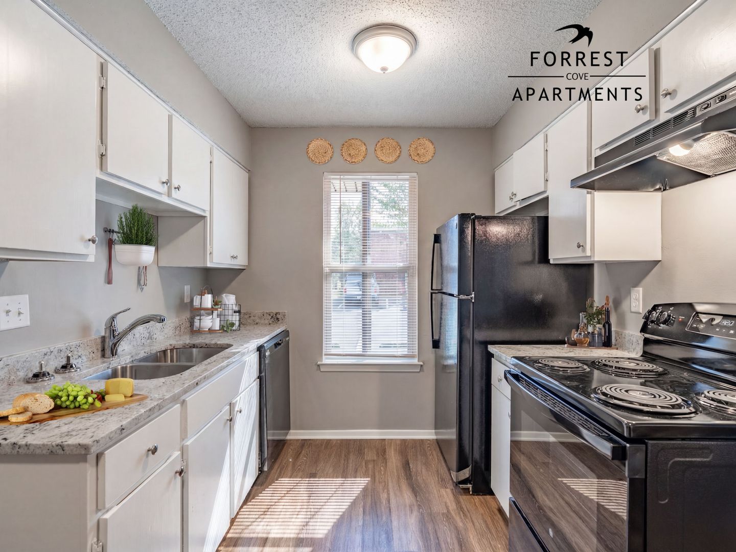 Memphis Apartment: 3609 Forrest Ave.