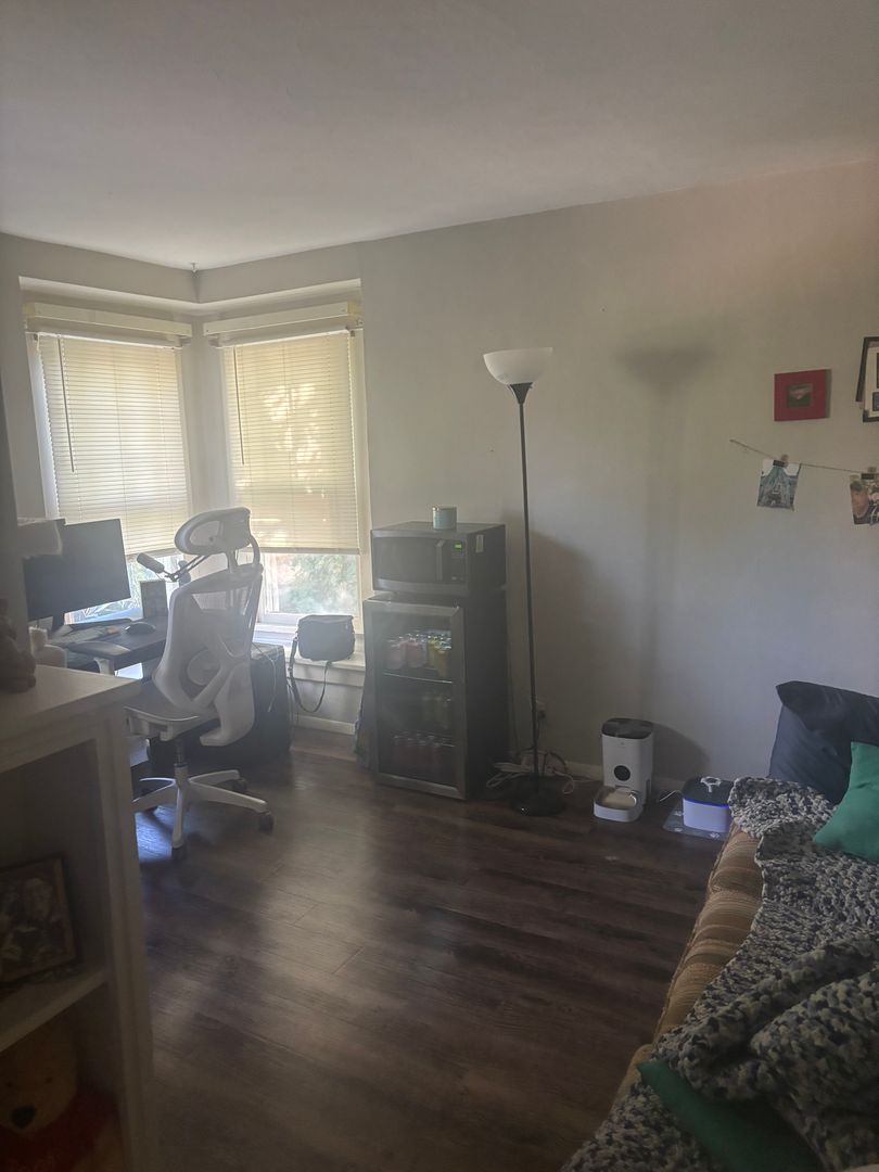 Iowa City Apartment: 931 Dewey Street