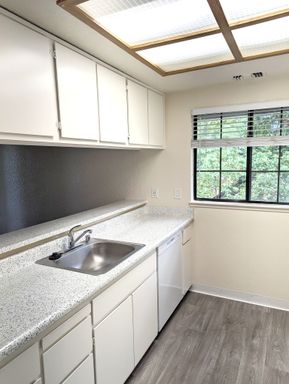Your Quiet Oasis: Charming 1BR/1BA with Sparkling Pool – photo 1