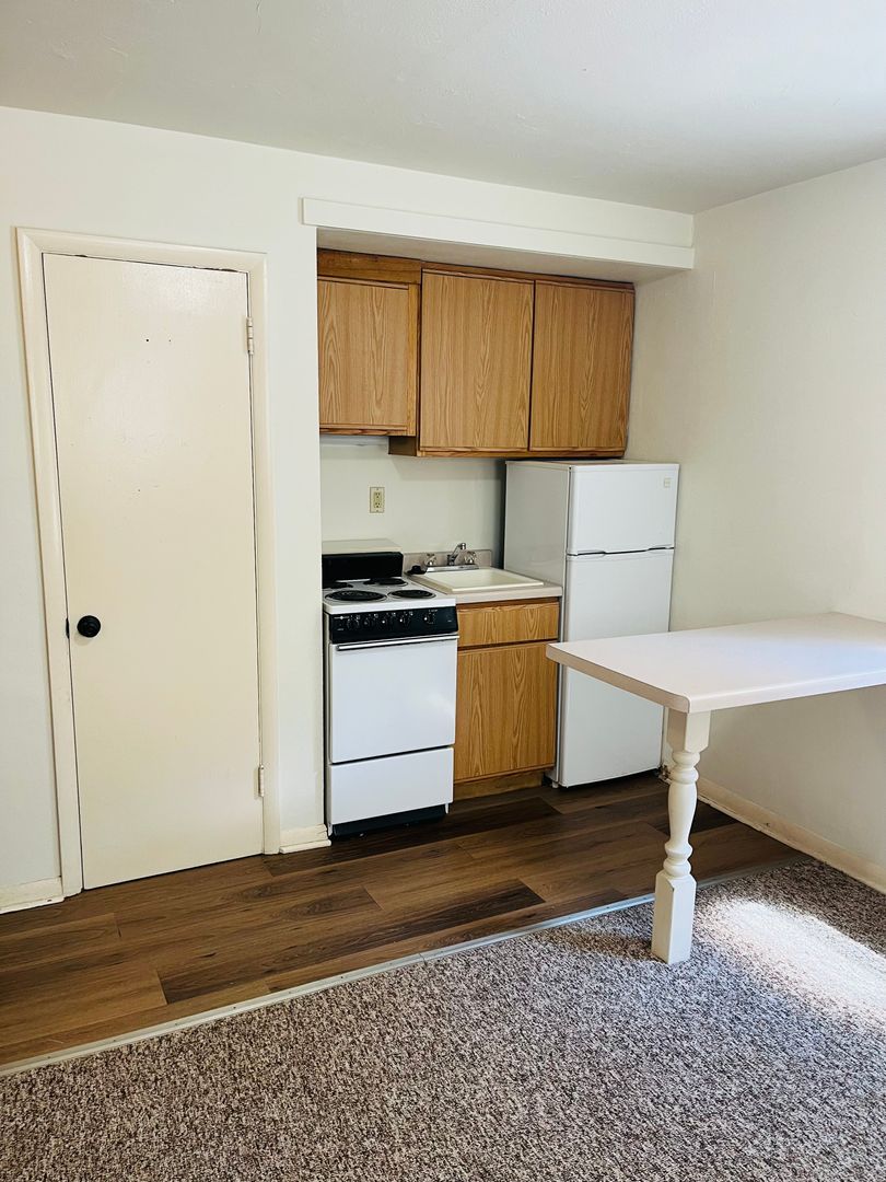 Madison Apartment: 135 East Johnson Street