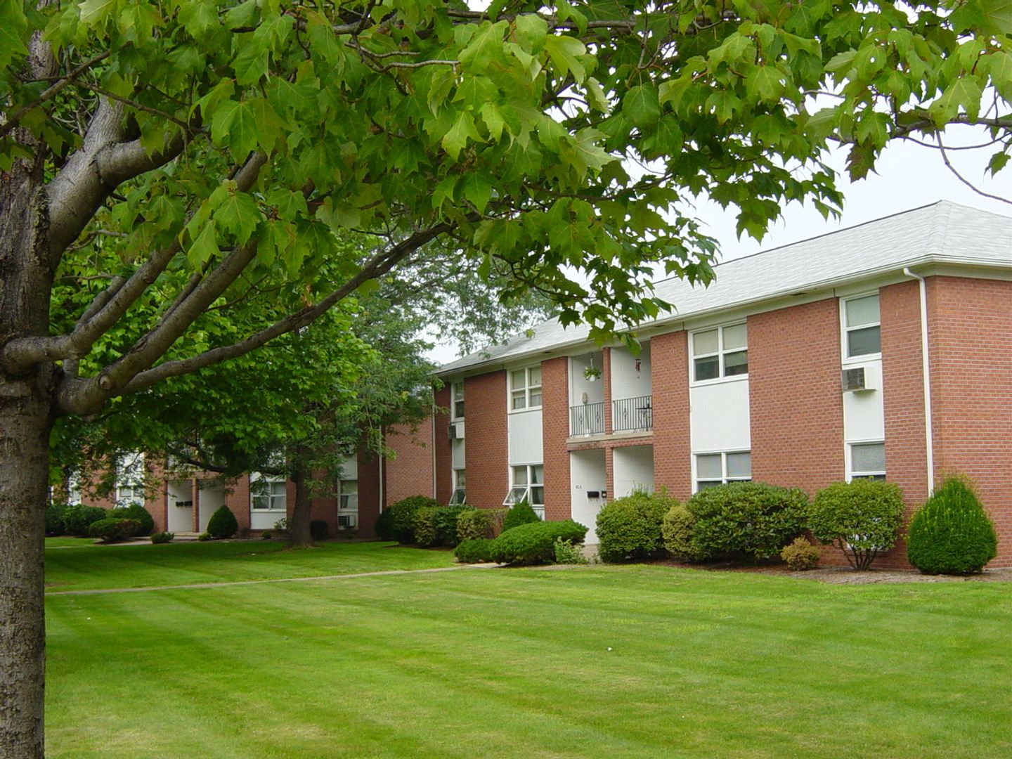 williamsport Apartment: 801-811 Sheridan Street