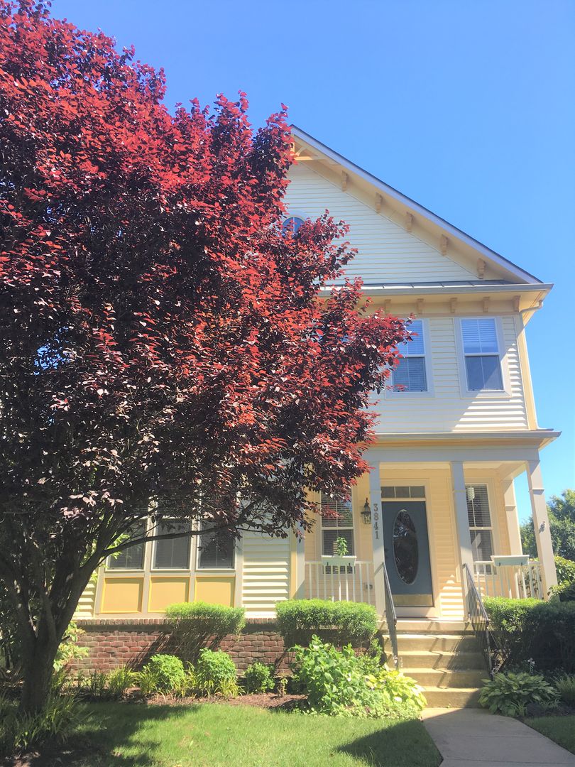 Frederick House: 3841 Braveheart Drive